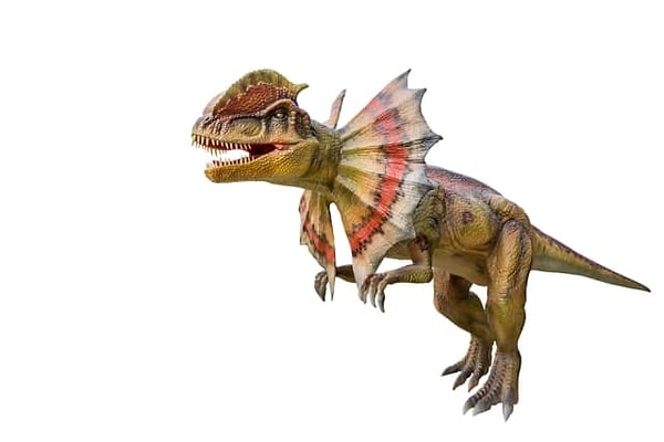 8. Забавный факт: нет никаких доказательств, что у этого знаменитого ящера из "Парка Юрского периода" действительно были складки на шее.