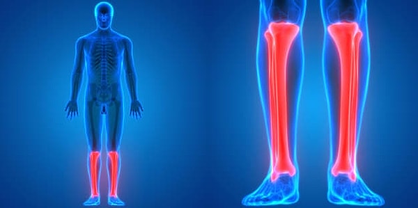 6. Как называются эти кости?