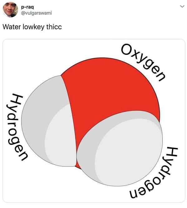 2. Yanakları olan bir su molekülü.