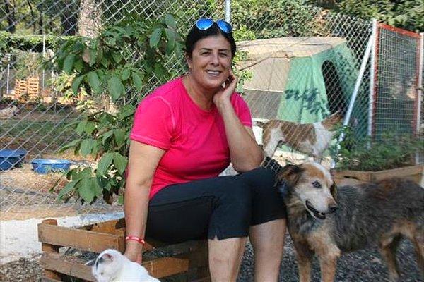 Hayvan hakları savunucusu Dağdelen, belediyeyi köpeği öldürmekle suçladı