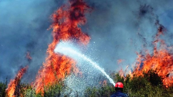 2017 yılında çıkış nedeni aydınlatılamayan orman yangınlarında Türkiye'de 4 bin 135 hektar ormanlık alanı yandı.