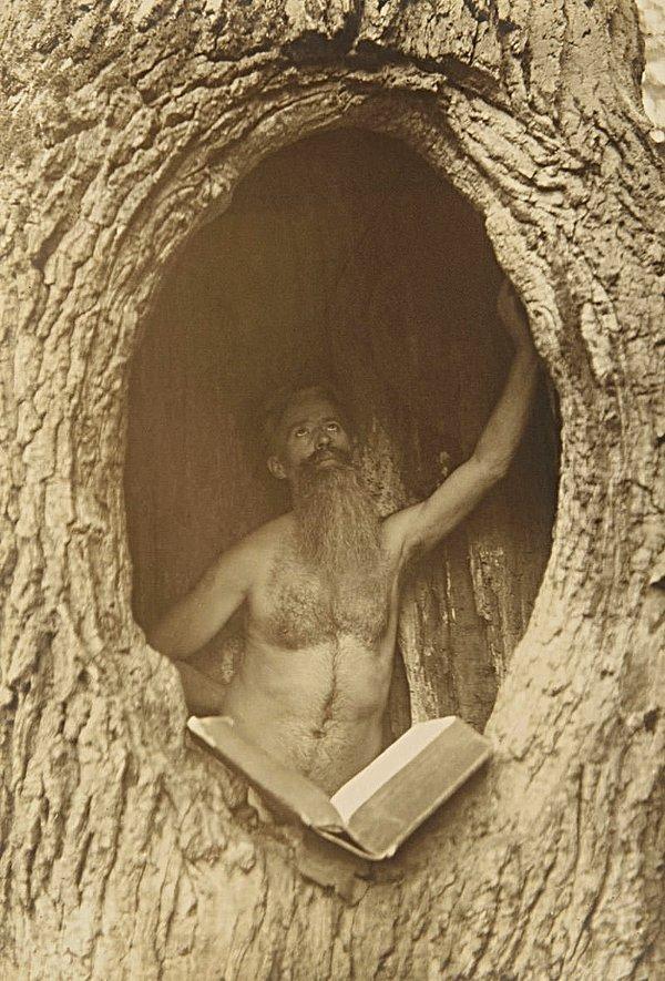 16. Ağaç kovuğunda kitap okuyan bir adam - Avustralya, 1900