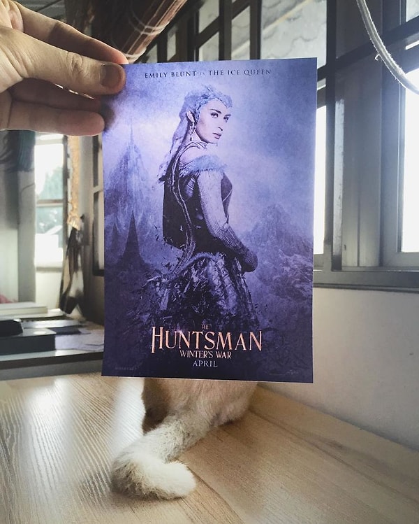 19. "Белоснежка и охотник"