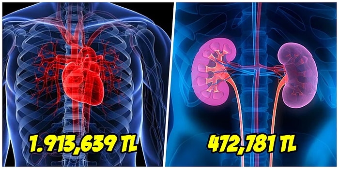 Organlarınızı Satmak İsterseniz Kazanabileceğiniz Para Sizi Biraz Şaşırtacak!