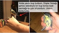 Yolda Bulduğu Yavru Kuşa Babalık Yaparak Aynı Evi Paylaşan Gencin Mutlu Sonlu Hikayesi