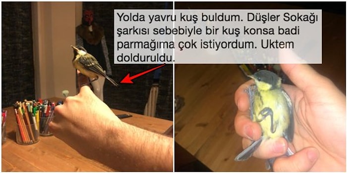 Yolda Bulduğu Yavru Kuşa Babalık Yaparak Aynı Evi Paylaşan Gencin Mutlu Sonlu Hikayesi