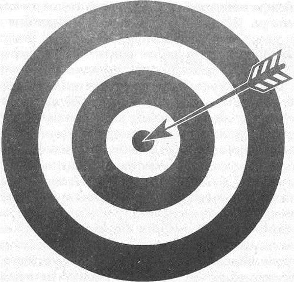 8. Вы, как правило, сосредотачиваетесь на...