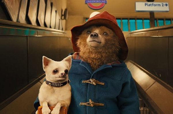 5. Откуда родом, согласно книге Майкла Бонда "Медвежонок Паддингтон", был главный одноименный персонаж?