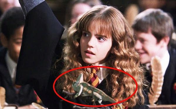 6. Sırlar Odası filminde, Hermione'nin masasında bir bukalemun vardı.