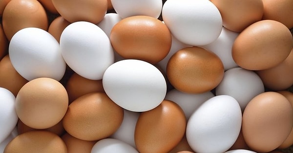 3. Срок годности этих яйц истек только вчера!