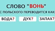 Тест: Вас можно назвать полиглотом, если сможете угадать значение русских слов в иностранных языках