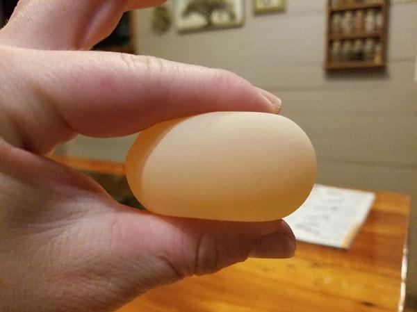 19. Kabuksuz tavuk yumurtası: