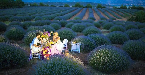 1. Лавандовые поля в городе Ыспарта (Испарта)