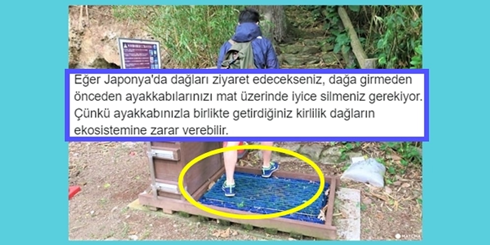 Harikulade Bilgilerle Marine Edilmiş Bu 18 Paylaşım Sizi Çok Daha Ayrıcalıklı Bir İnsan Yapacak!