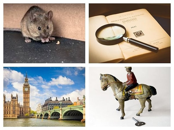 4. Что это за мультфильм?