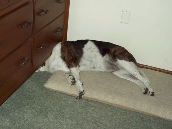 12. Но иногда ничего не помогает...😩