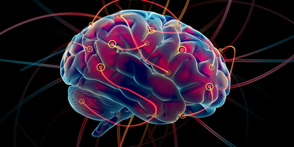 Senin Beynin Ne Renk?