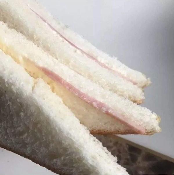 14. Oturup sakince salamlı sandviçini yeme planı yaptın, hani o kadar basit bir plan ki kimse bozamaz dedin.