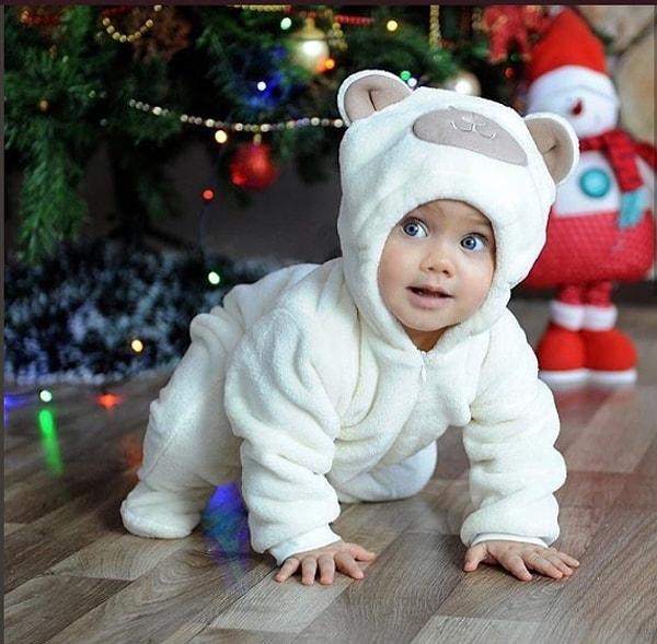3. Yeni yılı kutlayan minik bir kutup ayısı yavrusu. :)
