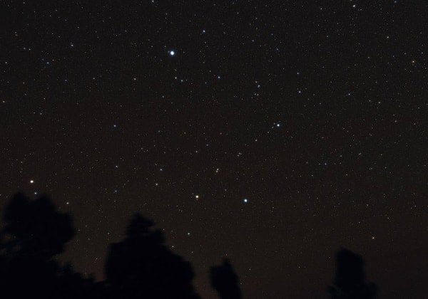 8. Это созвездие названо в честь птицы. Что за оно?