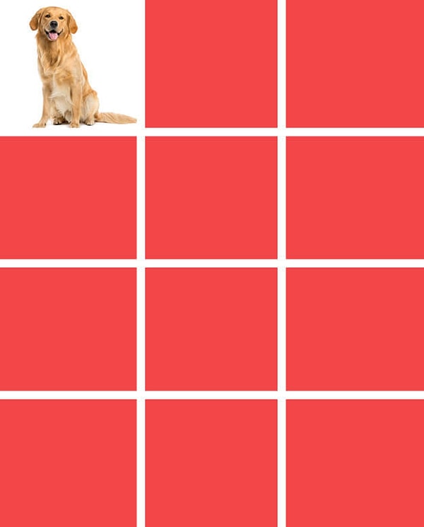 Показать правильный ответ