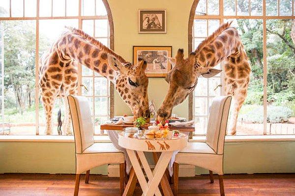 1. Giraffe Manor, Nairobi, Kenya