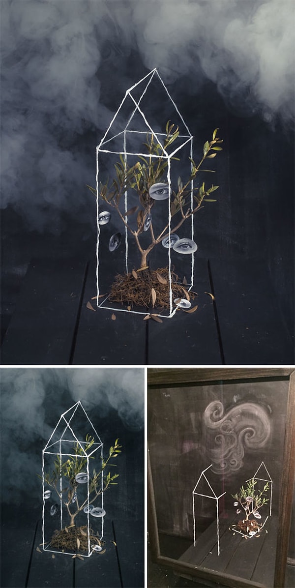 11. "Родословное дерево"