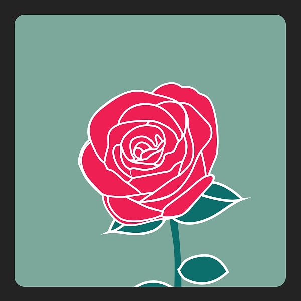 Красная роза: вы полны пылкой страсти!