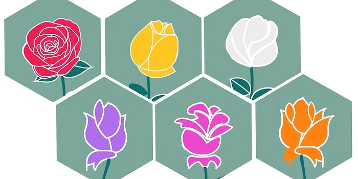 Тест: Выберите розу, а мы постараемся угадать, какие вы в любви