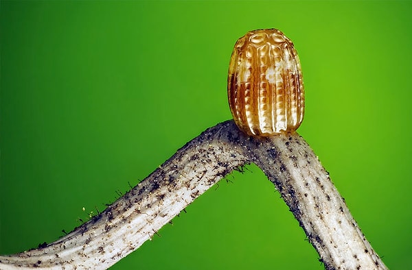 3. Что на фото?