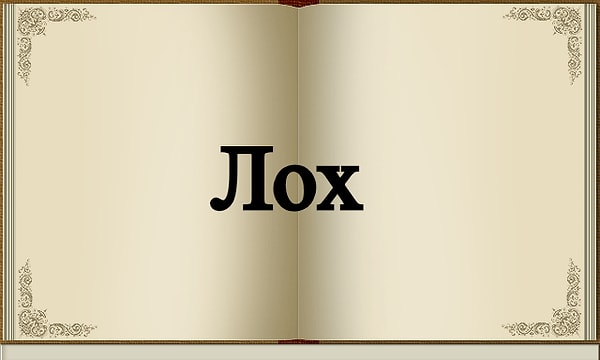 4. Два столетия назад это слово было популярно только у народов русского Севера.