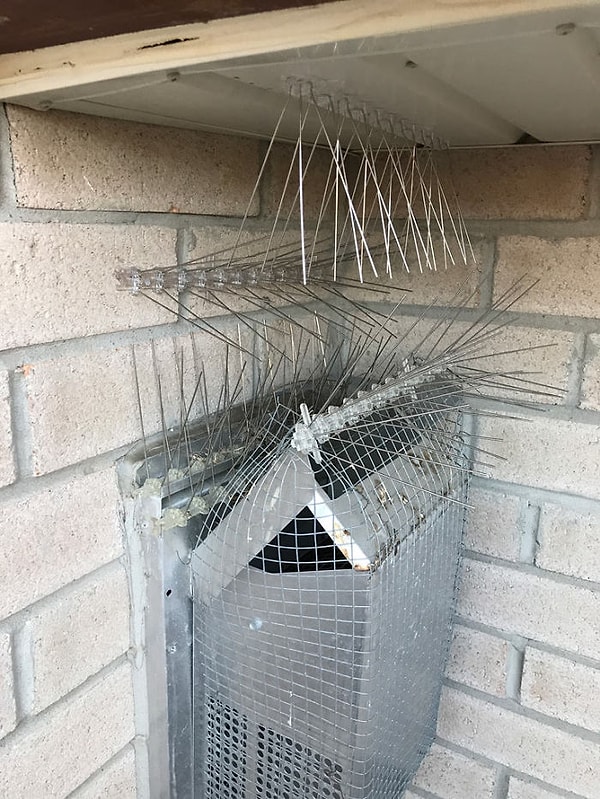 7. Ну, посмотрим, кто кого!