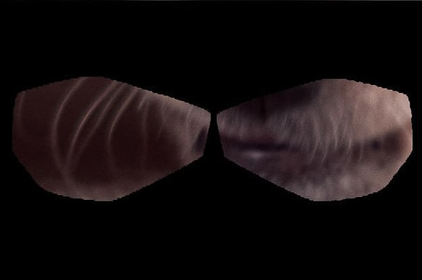 11. Ну и последнее: