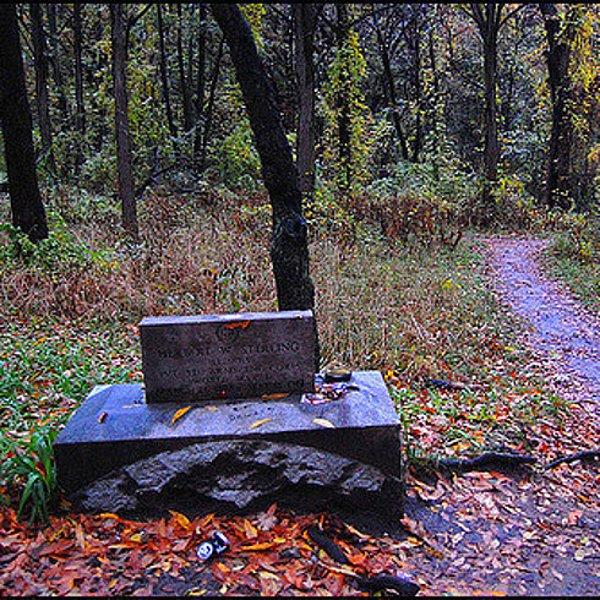 12. Yine satanistlerden dolayı lanetlenen bir yer: Bekar Koru Mezarlığı (Bremen, Illinois)