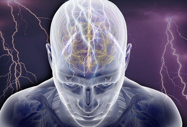 5. Общая длина кровеносных сосудов в человеческом мозге 100 000 миль (около 170 000 км)