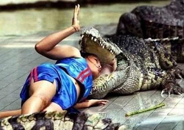 7. Ну ведь сама полезла!