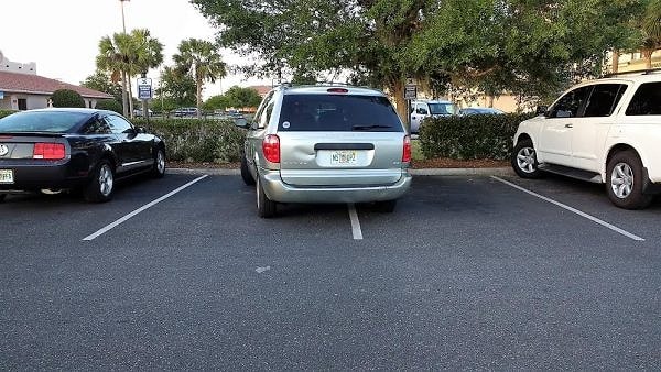 7. Молодец. А теперь скажи "Беееее" и перекуси травкой на газоне