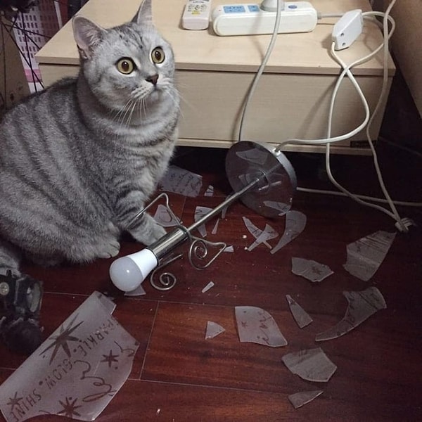 13. Сокрушитель настольных ламп: