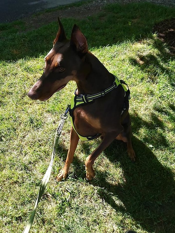 3. Купер всегда был первым, кто замечал приближение приступа и сообщал об этом Дженнифер Джейн - маме Конора.