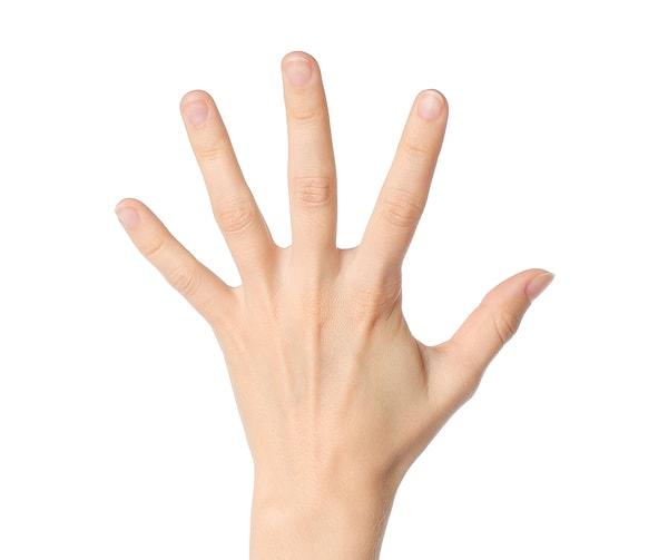 4. El parmaklarından hangisi sana daha samimi geliyor?