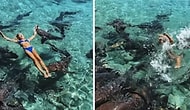 Девушку укусила акула, когда та позировала в море ради фотографий для соцсетей!