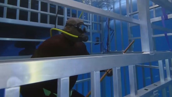 NBA Efsanesi Shaquille O’Neal, Kafesin İçinde Köpek Balığı İle Korku Dolu Anlar Yaşadı!