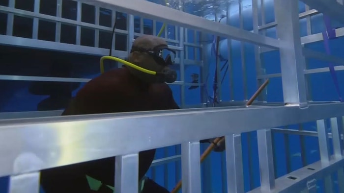 NBA Efsanesi Shaquille O’Neal, Kafesin İçinde Köpek Balığı İle Korku Dolu Anlar Yaşadı!