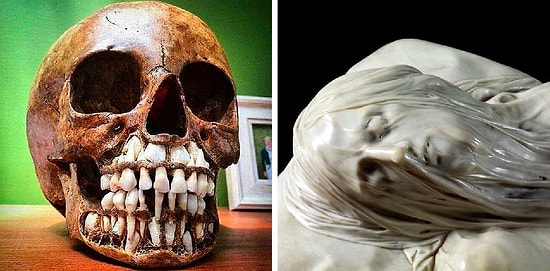 Увидев данные фото, вы точно поменяете своё представление об этом мире