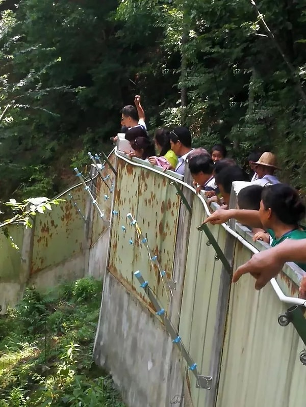 3. Тогда несколько человек из толпы додумалось поднять камни с земли и швыряться ими в панду.