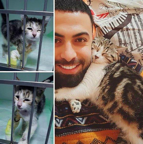 Yolunuz Sarper Duman’ın Instagram profiline düşerse, iyileştirdiği kedilerin hikayelerine mutlaka bir göz atın. Kim bilir, içlerinden biri sizin ömürlük dostunuz bile olabilir!