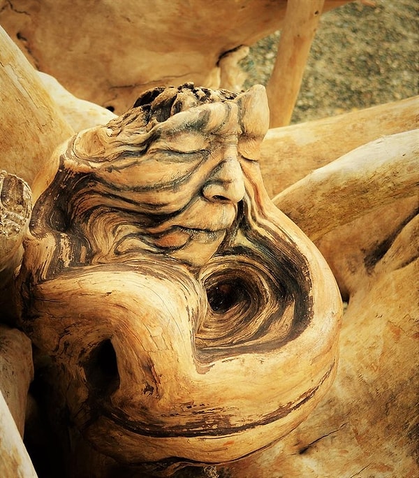 7. "Мировая любовь"