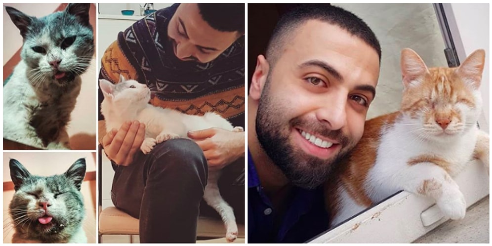 Sokaktaki Yaralı Kedileri İyileştirip Onlara Huzurlu Bir Yuva Veren Güzel Kalpli Müzisyen: Sarper Duman