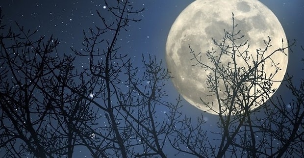 Dolunayda aydınlanan bir gece