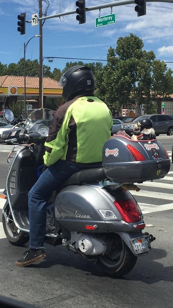 18. Sadık dostuna motosikletinde yer ayırmayı unutmamış. 😍